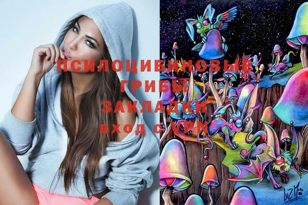 бошки Беломорск