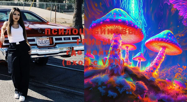 мдма Белокуриха