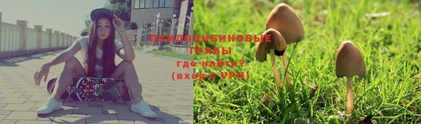 бошки Беломорск