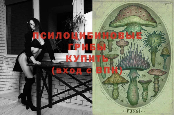 мдма Белокуриха