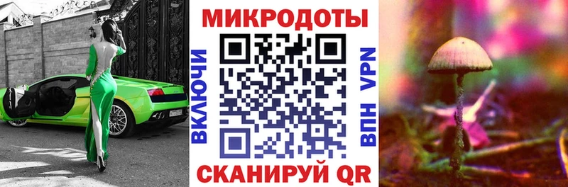 купить   Бор  Галлюциногенные грибы ЛСД 